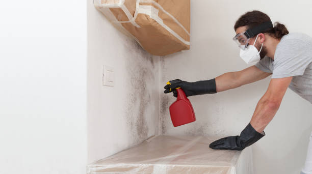 Professional Attic Mold Remediation technician working in Richland, GA