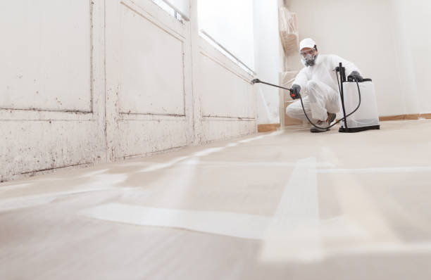 24/7 Emergency Attic Mold Remediation experts in Richland, GA