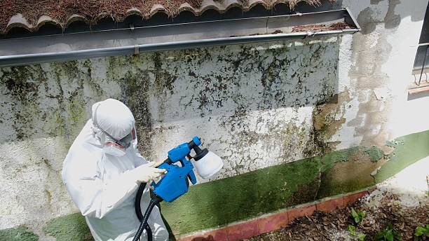 Top rated local Attic Mold Remediation specialists in Richland, GA